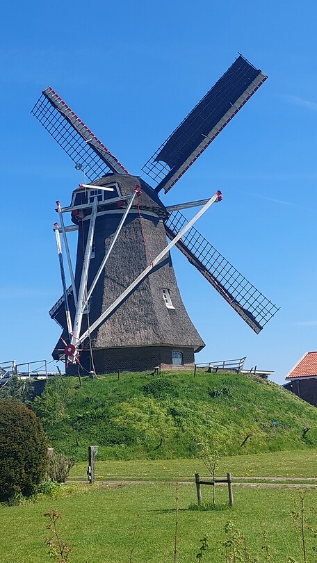 20230430_121347