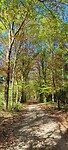 IMG-20230430-WA0011