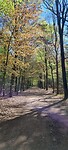 IMG-20230430-WA0014