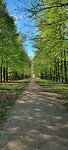 IMG-20230430-WA0023