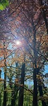 IMG-20230430-WA0027