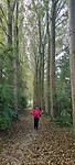 IMG-20231007-WA0047