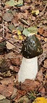 IMG-20231008-WA0026