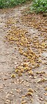 IMG-20231008-WA0067