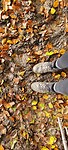 IMG-20231112-WA0006