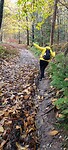 IMG-20231112-WA0017