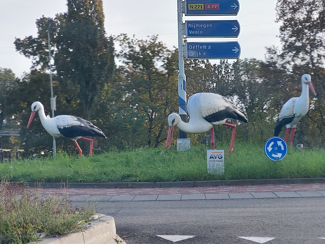 20231112_145831