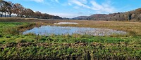 IMG-20231112-WA0004