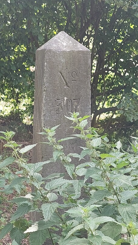 1000112677