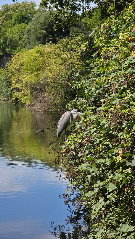 1000124672