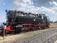 Mooie foto van dichtbij