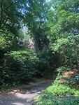 In het bos op de route van de Teufelsmauer