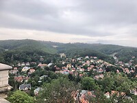 IMG_0337