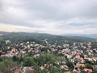IMG_0338