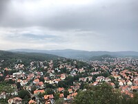 IMG_0339