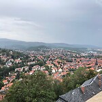 IMG_0341