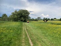 Een mooie foto van de lucht