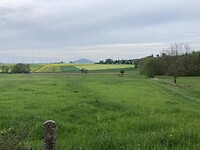 IMG-1159