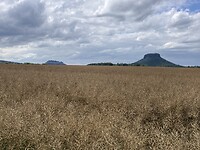 Rechts de Liliënstein en links de Königstein