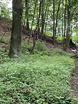 Het pad omhoog op de terugweg