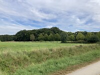 Mooi uitzicht toen we het bos uitkwamen op de terugweg