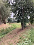 Heerlijk slingeren langs het water.