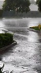 Regen in the USA