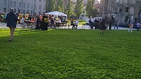 Parma Zaanse festival