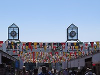 IMG_8737
