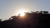 20190425_074804