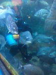 006B0165-C1A8-4CB1-A306-BA2AFADAE0C2