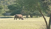 20190515_085745