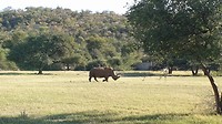20190515_085727