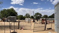 IMG_8733