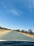 IMG_8794