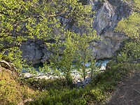 IMG_7984