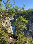 IMG_7986