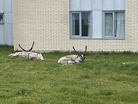IMG_7998