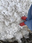 IMG_8118