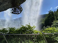 IMG_8139