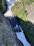 IMG_8135
