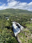 IMG_8133