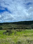 IMG_8103