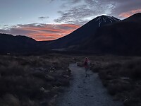 IMG_8517
