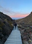 IMG_8247