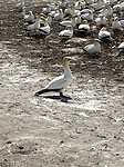 IMG_8591