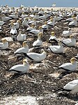 IMG_8596