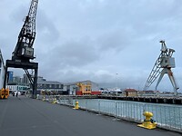 IMG_8337
