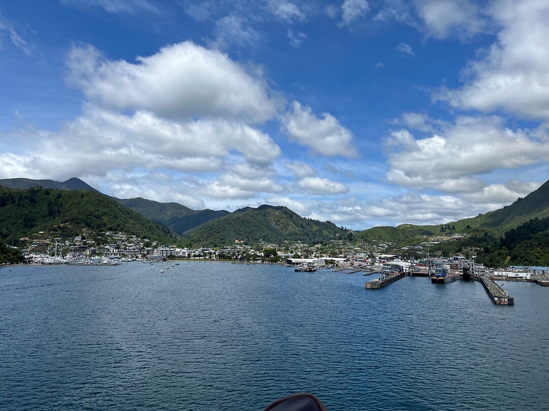 IMG_8636