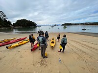 IMG_8648